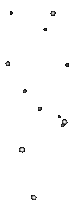 stelle